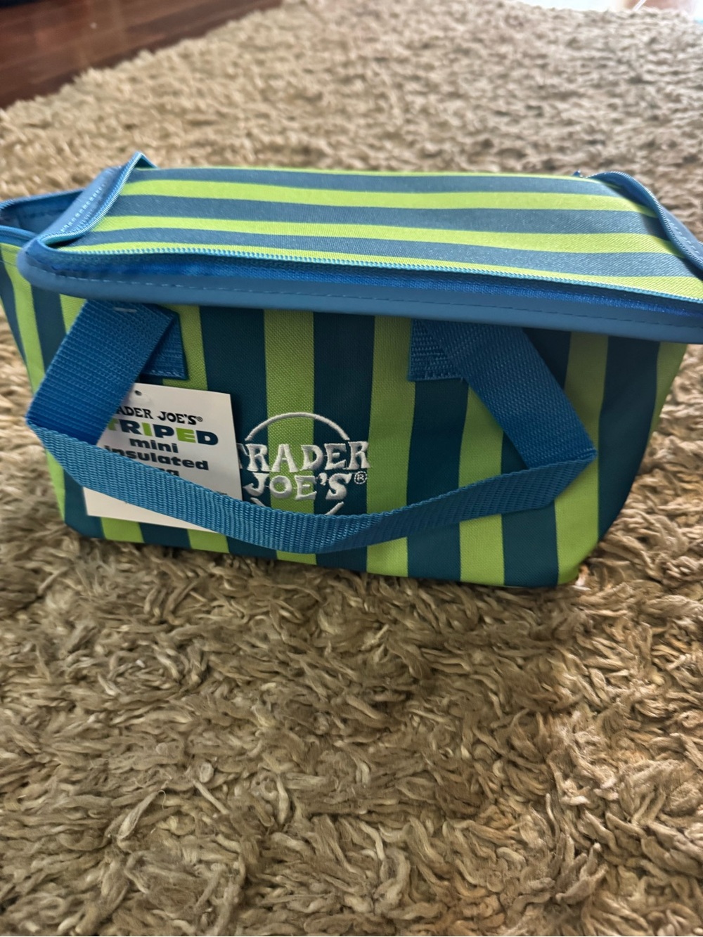 Trader Joe's Blue & Green Striped Insulated Lunch Bag